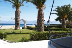 Nefeli Studios_best deals_Hotel_Central Greece_Fokida_Eratini