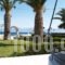 Nefeli Studios_best deals_Hotel_Central Greece_Fokida_Eratini