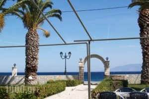 Nefeli Studios_holidays_in_Hotel_Central Greece_Fokida_Eratini