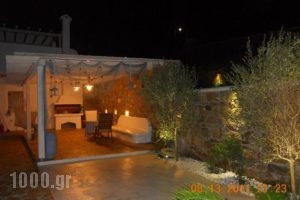 Elena's Luxury Apartments and Villa_holidays_in_Villa_Cyclades Islands_Mykonos_Mykonos Chora