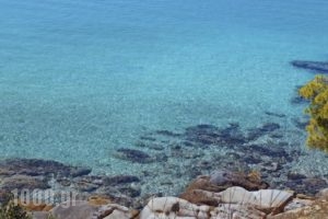 Blue Green Bay_best deals_Hotel_Sporades Islands_Skopelos_Skopelos Chora