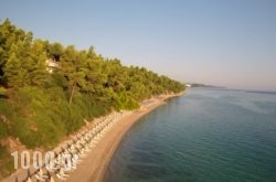 Kriopigi Beach Hotel in Kithira Chora, Kithira, Piraeus Islands - Trizonia