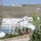 Seethrough Mykonos_best deals_Hotel_Cyclades Islands_Mykonos_Platys Gialos