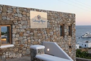 Seethrough Mykonos_best prices_in_Hotel_Cyclades Islands_Mykonos_Platys Gialos