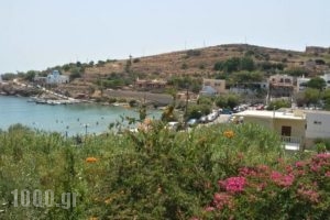 Hotel Alexandra_travel_packages_in_Cyclades Islands_Syros_Posidonia