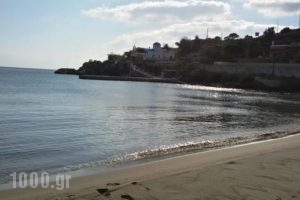 Hotel Alexandra_best deals_Hotel_Cyclades Islands_Syros_Posidonia