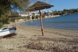 Hotel Alexandra_best prices_in_Hotel_Cyclades Islands_Syros_Posidonia