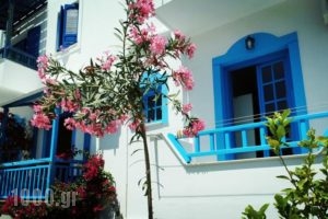 Studios Matina_best deals_Hotel_Cyclades Islands_Naxos_Naxos chora
