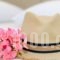 Gerani Studios_holidays_in_Hotel_Dodekanessos Islands_Astipalea_Astipalea Chora
