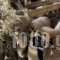 Ktima Bellou_lowest prices_in_Hotel_Thessaly_Larisa_Livadi