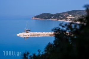 Anasa Thalassas_holidays_in_Hotel_Aegean Islands_Thasos_Thasos Chora