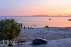 Moireas Apartments_holidays_in_Apartment_Thessaly_Magnesia_Koropi