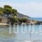 Acqua Marina Nautilus_holidays_in_Hotel_Piraeus Islands - Trizonia_Aigina_Agia Marina