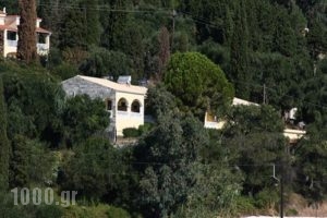 Dimitra Studios_best prices_in_Apartment_Ionian Islands_Corfu_Benitses