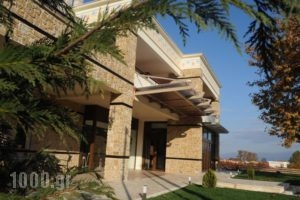 Agapi Luxury Hotel_accommodation_in_Hotel_Macedonia_Pella_Aridea