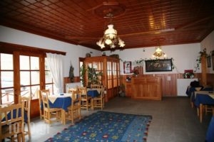 Apostolos Hotel_best prices_in_Hotel_Epirus_Ioannina_Metsovo