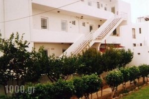 Marina Studios_holidays_in_Apartment_Dodekanessos Islands_Kos_Kardamena