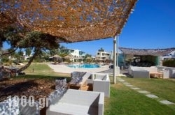 Angeliki Apartments in Naxos Rest Areas, Naxos, Cyclades Islands