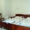 Filoxenia Lendas Studios and Apartments_best deals_Apartment_Crete_Heraklion_Lendas