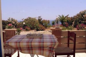 Filoxenia Lendas Studios and Apartments_best prices_in_Apartment_Crete_Heraklion_Lendas