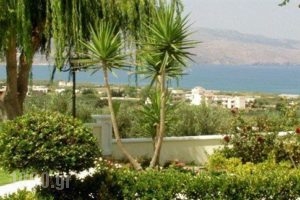 Antilia Apartments_best prices_in_Hotel_Crete_Chania_Tavronitis