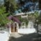 Zontanos Studios_best deals_Room_Piraeus Islands - Trizonia_Poros_Poros Chora