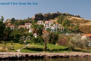 Clara Hotel_travel_packages_in_Aegean Islands_Lesvos_Petra