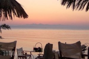 Anastasia_accommodation_in_Apartment_Ionian Islands_Zakinthos_Zakinthos Chora