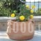 Metoxi Villas_lowest prices_in_Villa_Crete_Rethymnon_Spili