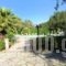 Phivos Studios_best deals_Apartment_Ionian Islands_Corfu_Palaeokastritsa