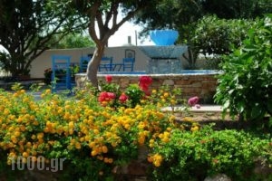 Studios Petra_best prices_in_Hotel_Cyclades Islands_Naxos_Naxos chora