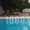 Olympia Paxos_accommodation_in_Hotel_Ionian Islands_Paxi_Paxi Rest Areas