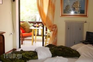 Hotel Petunia_holidays_in_Hotel_Macedonia_Halkidiki_Neos Marmaras