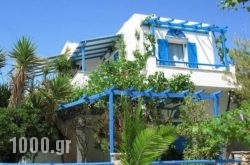 Sea View Studios & Apartments in Agia Anna, Naxos, Cyclades Islands