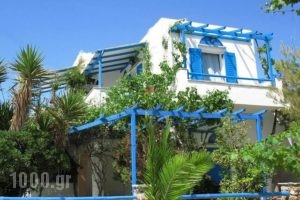 Sea View Studios & Apartments_accommodation_in_Apartment_Cyclades Islands_Naxos_Agia Anna