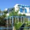 Sea View Studios & Apartments_accommodation_in_Apartment_Cyclades Islands_Naxos_Agia Anna