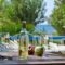 Sea View Studios & Apartments_best deals_Apartment_Cyclades Islands_Naxos_Agia Anna