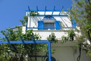 Sea View Studios & Apartments_holidays_in_Apartment_Cyclades Islands_Naxos_Agia Anna