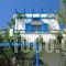 Sea View Studios & Apartments_holidays_in_Apartment_Cyclades Islands_Naxos_Agia Anna