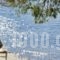 Xenia Poros Image Hotel_accommodation_in_Hotel_Piraeus Islands - Trizonia_Trizonia_Trizonia Chora