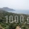 Villa Ioanna_travel_packages_in_Crete_Rethymnon_Plakias