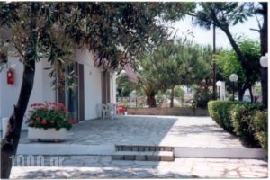 Elena_holidays_in_Apartment_Macedonia_Kavala_Keramoti