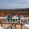 Vouno Village Apartments_lowest prices_in_Apartment_Aegean Islands_Chios_Chios Chora