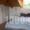 House Rebecca_best prices_in_Room_Ionian Islands_Zakinthos_Zakinthos Rest Areas