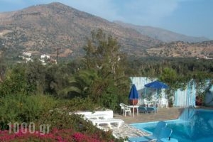 Sunningdale Hotel_lowest prices_in_Hotel_Crete_Rethymnon_Aghia Galini