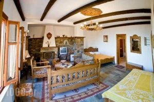 Arhontika Saltis_best prices_in_Hotel_Thessaly_Magnesia_Makrinitsa
