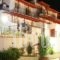 Villa Teozenia_accommodation_in_Villa_Thessaly_Magnesia_Milies