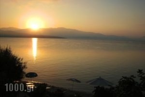 Nikiana Club_best deals_Apartment_Ionian Islands_Lefkada_Nikiana