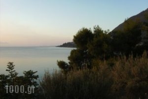 Nikiana Club_holidays_in_Apartment_Ionian Islands_Lefkada_Nikiana