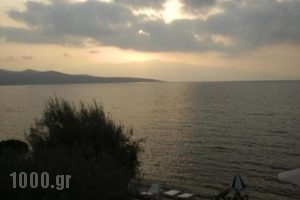 Nikiana Club_best prices_in_Apartment_Ionian Islands_Lefkada_Nikiana